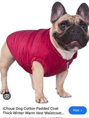 Ichoue Bulldog Red Puffer Dog Vest with Front Zipper